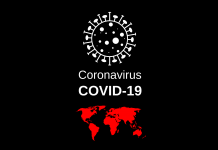 캐나다 COVID-19의 위험지역인 몬트리올