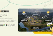 1500년전 효심이 낳은 금산인삼, 고국배송 특별전 개최 세계인의 건강 책임지는 고려인삼, 코로나 면역에도 탁월