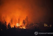 “산불 난리 통인데 뉴스 공급도 안하고”…캐나다, 메타 비판